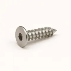 Flat head socket self-tapping screw M2.6 × 5 — AI-generated selection illustration