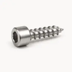 Socket cap self-tapping screw M2 × 6 — AI-generated selection illustration